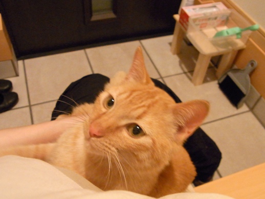 f:id:akiyochan15:20110501212734j:image f:id:akiyochan15:20110501212734j:image