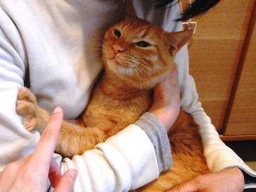 f:id:akiyochan15:20110503160833j:image f:id:akiyochan15:20110503160833j:image