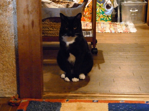 f:id:akiyochan15:20110519172809j:image