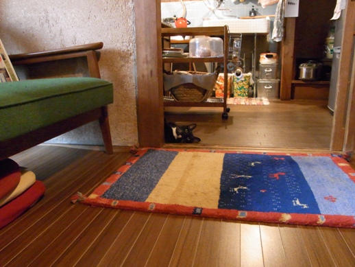 f:id:akiyochan15:20110519174151j:image