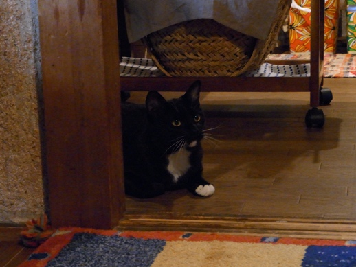 f:id:akiyochan15:20110519174237j:image