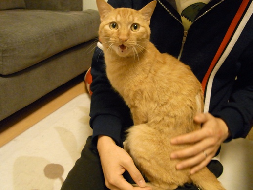 f:id:akiyochan15:20110531005958j:image f:id:akiyochan15:20110531005958j:image