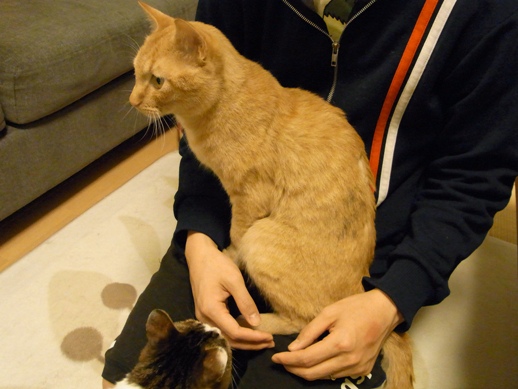 f:id:akiyochan15:20110531010006j:image f:id:akiyochan15:20110531010006j:image