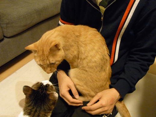 f:id:akiyochan15:20110531010009j:image f:id:akiyochan15:20110531010009j:image