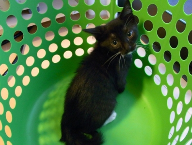 f:id:akiyochan15:20110616151909j:image