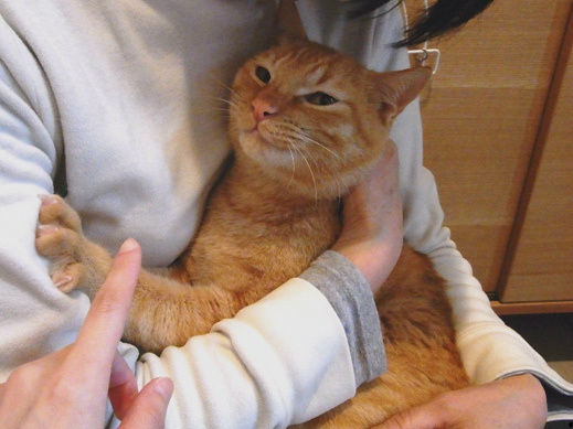 f:id:akiyochan15:20110620164518j:image