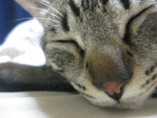 f:id:akiyochan15:20110623200345j:image:w360