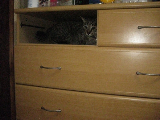 f:id:akiyochan15:20110719204300j:image:w360