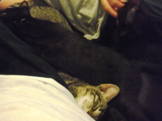 f:id:akiyochan15:20110728014251j:image