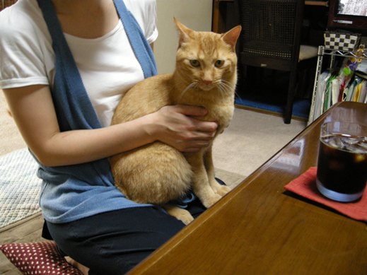 f:id:akiyochan15:20110731131450j:image