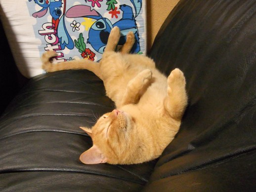 f:id:akiyochan15:20110731144942j:image