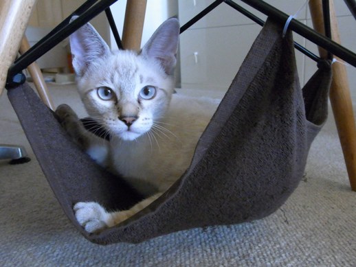 f:id:akiyochan15:20110818155249j:image