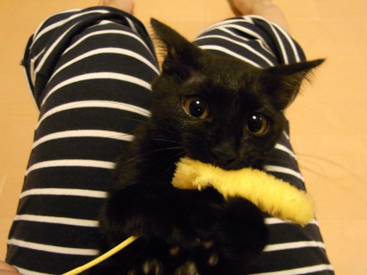 f:id:akiyochan15:20110831013856j:image:w360