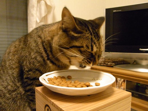 f:id:akiyochan15:20110903015342j:image