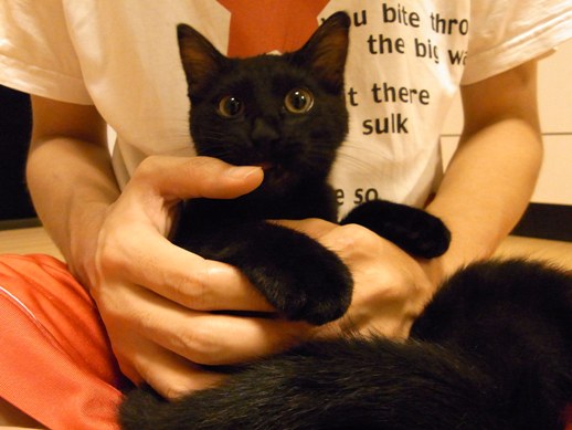 f:id:akiyochan15:20110907012943j:image f:id:akiyochan15:20110907012943j:image