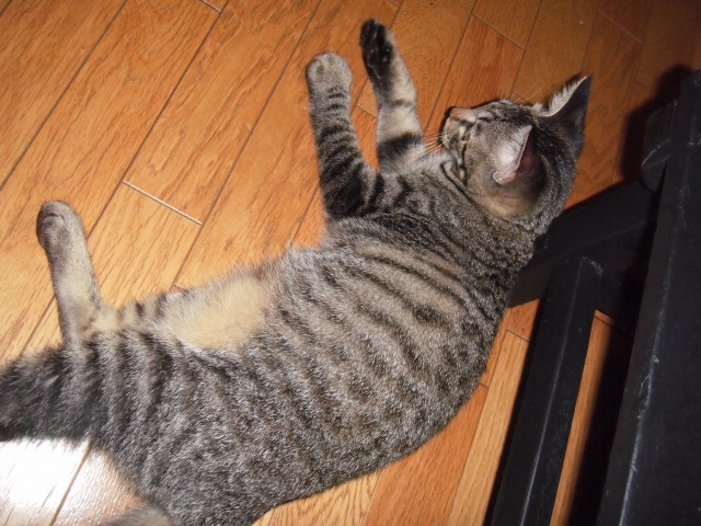 f:id:akiyochan15:20110909151351j:image:w500