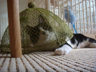 f:id:akiyochan15:20110915094232j:image