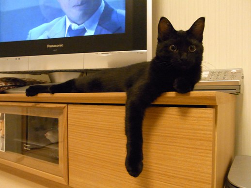 f:id:akiyochan15:20110916230107j:image