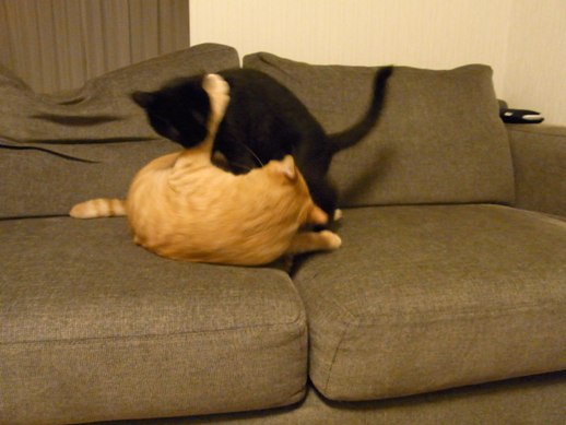 f:id:akiyochan15:20110917004536j:image