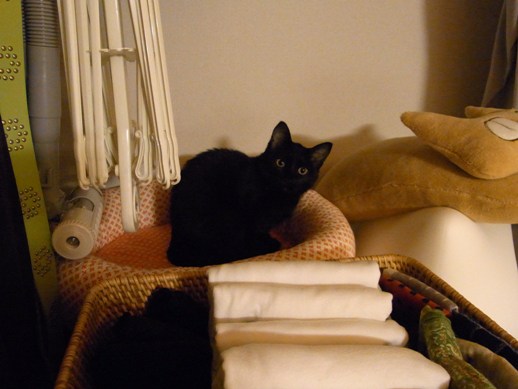 f:id:akiyochan15:20110923232911j:image:w360