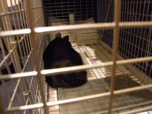 f:id:akiyochan15:20110928220720j:image:w400