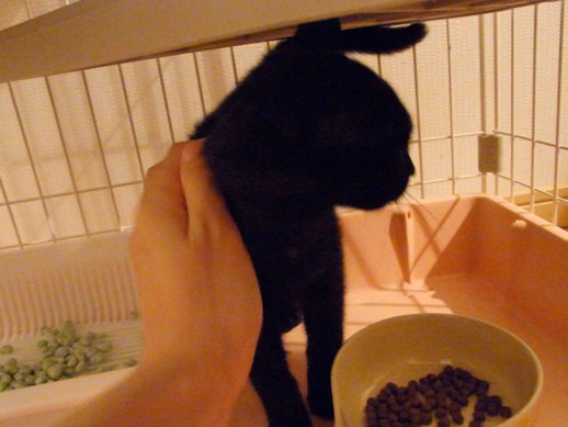 f:id:akiyochan15:20111003021537j:image