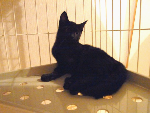 f:id:akiyochan15:20111003021920j:image