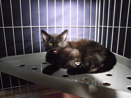 f:id:akiyochan15:20111003082222j:image f:id:akiyochan15:20111003082222j:image