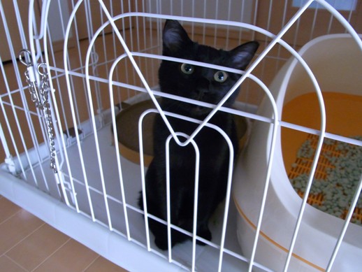 f:id:akiyochan15:20111004082416j:image f:id:akiyochan15:20111004082416j:image