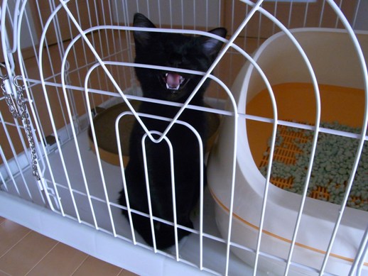 f:id:akiyochan15:20111004082439j:image f:id:akiyochan15:20111004082439j:image