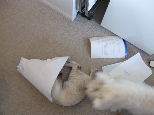 f:id:akiyochan15:20111006160441j:image