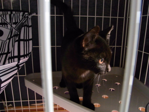 f:id:akiyochan15:20111007082809j:image