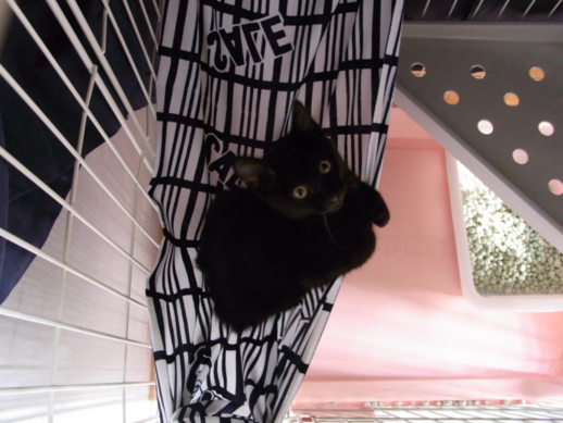 f:id:akiyochan15:20111007085039j:image