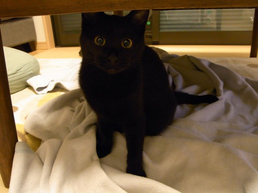 f:id:akiyochan15:20111011005235j:image f:id:akiyochan15:20111011005235j:image