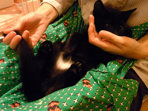 f:id:akiyochan15:20111012211123j:image f:id:akiyochan15:20111012211123j:image