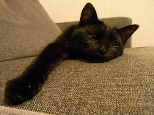 f:id:akiyochan15:20111016231110j:image f:id:akiyochan15:20111016231110j:image