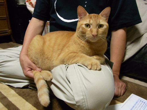 f:id:akiyochan15:20111023150557j:image f:id:akiyochan15:20111023150557j:image