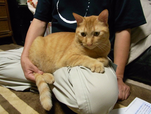 f:id:akiyochan15:20111023150558j:image f:id:akiyochan15:20111023150558j:image