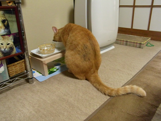 f:id:akiyochan15:20111023150706j:image f:id:akiyochan15:20111023150706j:image