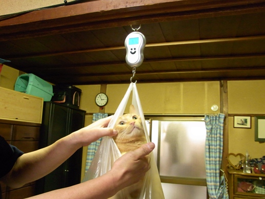 f:id:akiyochan15:20111023151728j:image f:id:akiyochan15:20111023151728j:image