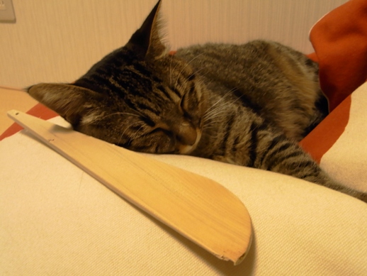 f:id:akiyochan15:20111023230207j:image f:id:akiyochan15:20111023230207j:image