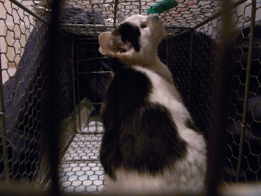 f:id:akiyochan15:20111028013416j:image f:id:akiyochan15:20111028013416j:image