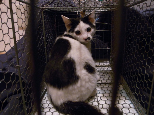 f:id:akiyochan15:20111028013554j:image f:id:akiyochan15:20111028013554j:image