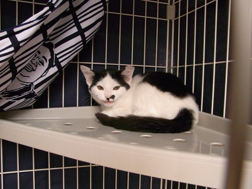 f:id:akiyochan15:20111030121707j:image