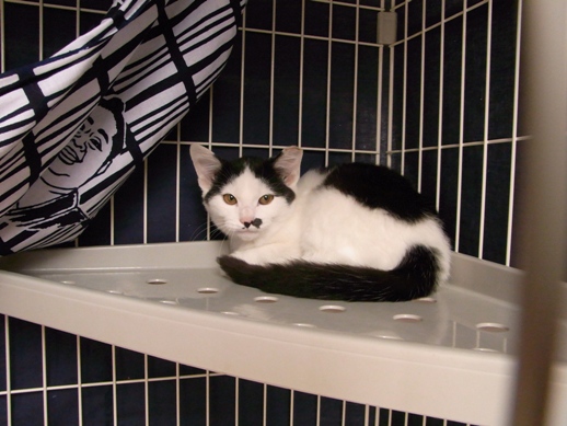 f:id:akiyochan15:20111030121708j:image