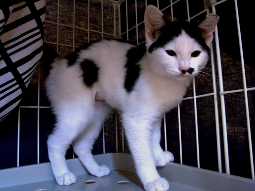 f:id:akiyochan15:20111031084424j:image