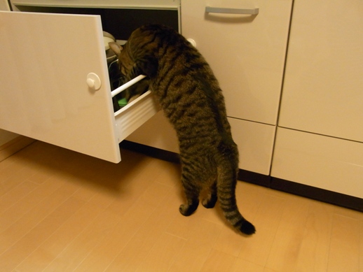 f:id:akiyochan15:20111031222022j:image