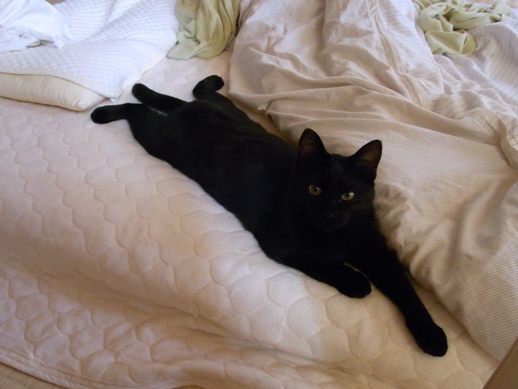 f:id:akiyochan15:20111101081642j:image