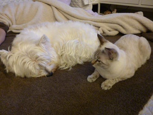 f:id:akiyochan15:20111103213732j:image