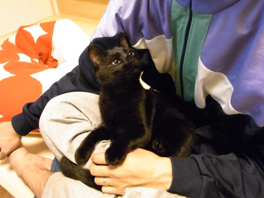 f:id:akiyochan15:20111105231157j:image